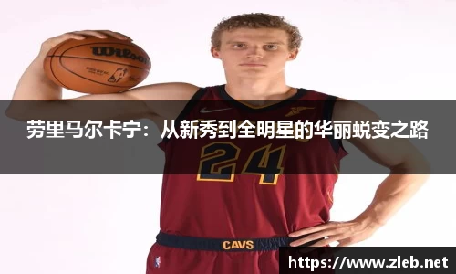 乐动LDSports体育官网
