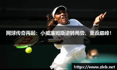 乐动LDSports体育官网