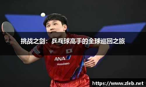 挑战之剑：乒乓球高手的全球巡回之旅